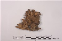 藏品(霜地卷)的圖片